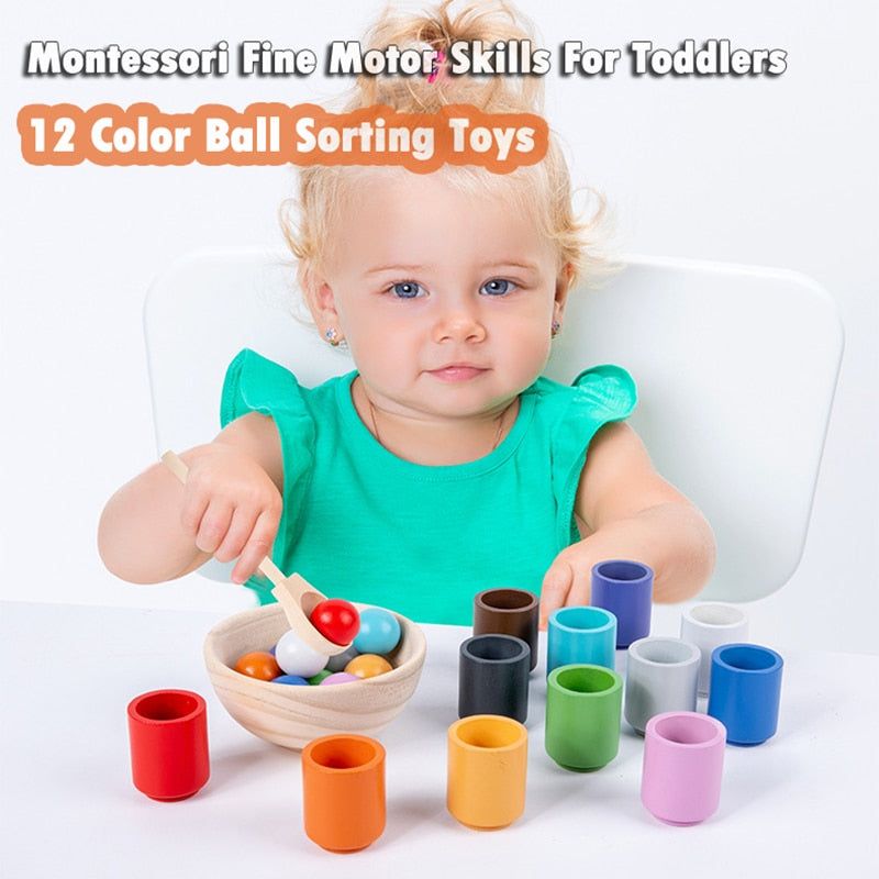 ColoReco - Children's Early Education Color Recognition Classification Cup - luvinly