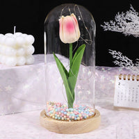 Thumbnail for Glass-covered Perpetual Flower Night Light Ornaments - luvinly