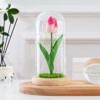 Thumbnail for Glass-covered Perpetual Flower Night Light Ornaments - luvinly