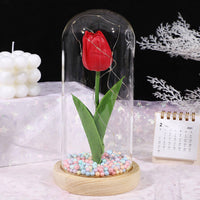 Thumbnail for Glass-covered Perpetual Flower Night Light Ornaments - luvinly