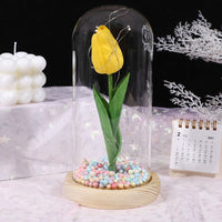 Thumbnail for Glass-covered Perpetual Flower Night Light Ornaments - luvinly