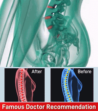 Thumbnail for MagnePosture Flex™ - Elevate Your Posture, Magnetically! - luvinly