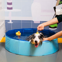 Thumbnail for PORTABLE DOG POOL - luvinly