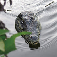 Thumbnail for RC Alligator Head Toy - luvinly