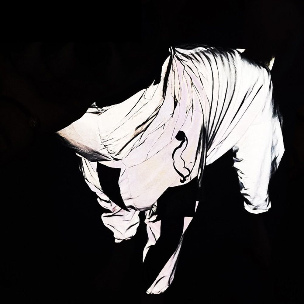 SafeCoat - Reflective All-weather Waterproof Dog Rain Coat - luvinly