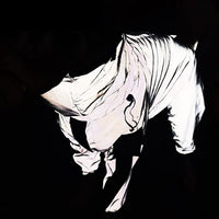 Thumbnail for SafeCoat - Reflective All-weather Waterproof Dog Rain Coat - luvinly