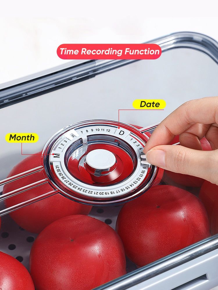 Seal Timer Food Container-3PCS - luvinly