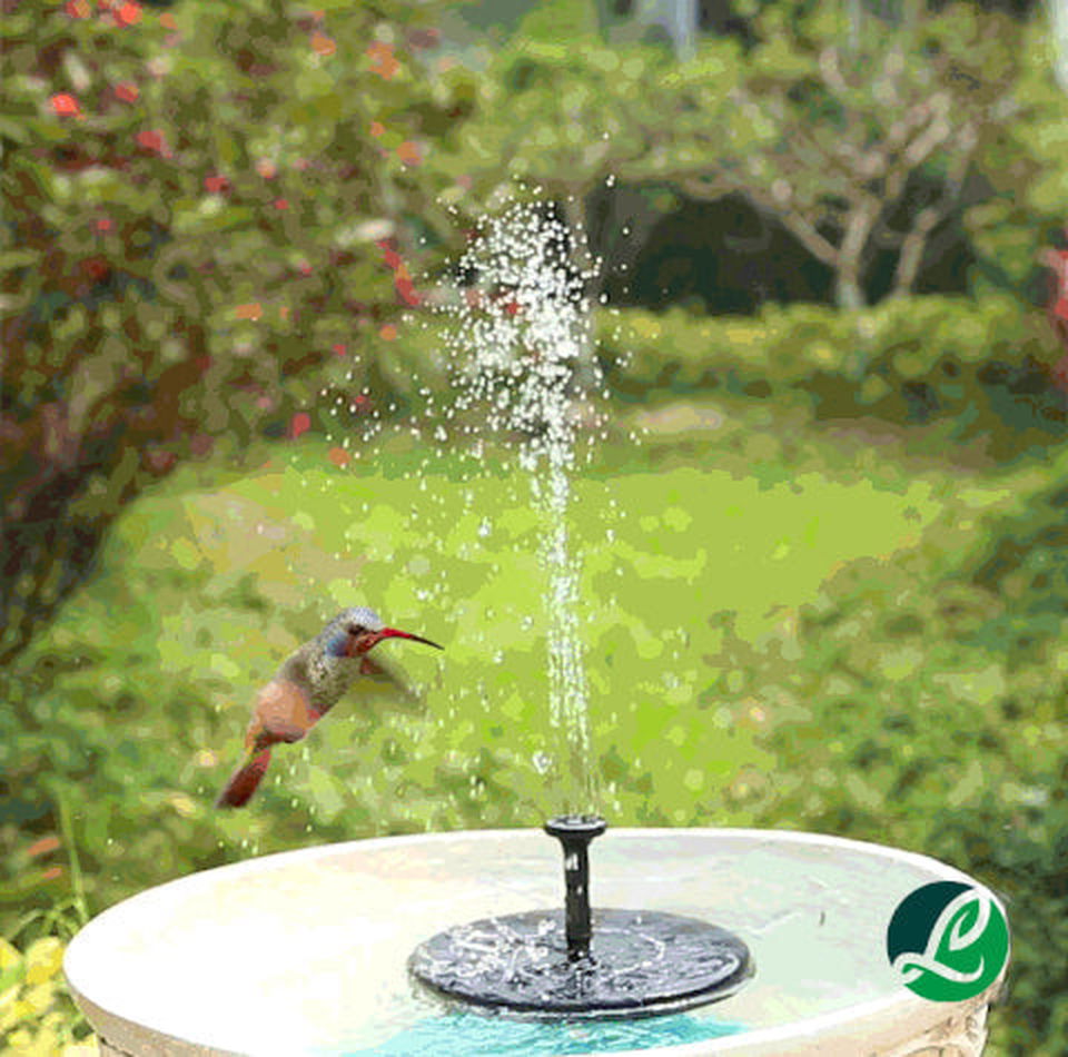 Solar Powered Fountain Pump - luvinly