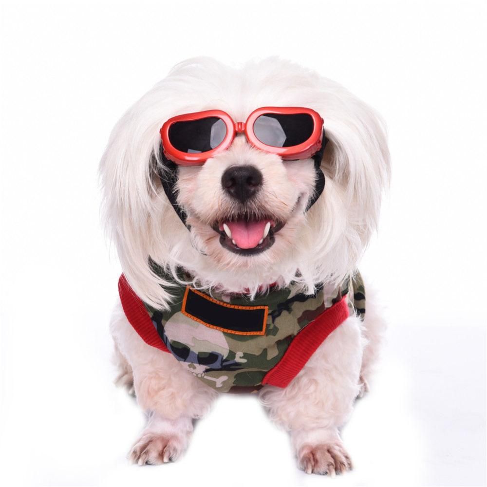 Sunglasses Eye Protection For Pets - luvinly